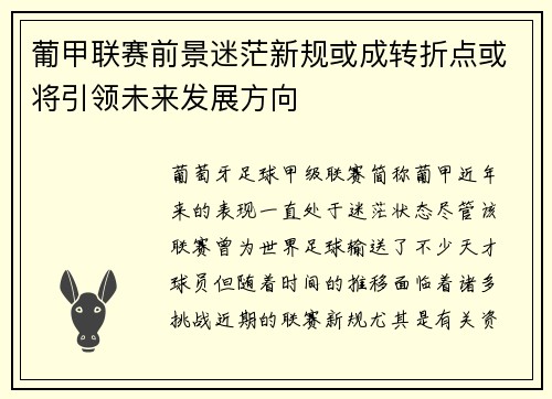 葡甲联赛前景迷茫新规或成转折点或将引领未来发展方向